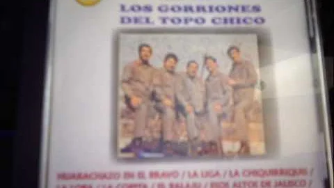 Polkas - Los Gorriones Del Topo Chico