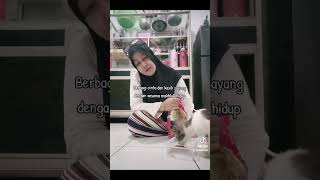 Miumiauw Tiada Kesan Tanpa Kehadiranmu Karena Setiap Hari Pasti Ketemu Kamu..