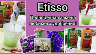 видео: Полноценная замена удобрения Etisso для фиалок! Рассказываю как разводить удобрение и использовать д картинка: Полноценная замена удобрения Etisso для фиалок! Рассказываю как разводить удобрение и использовать д