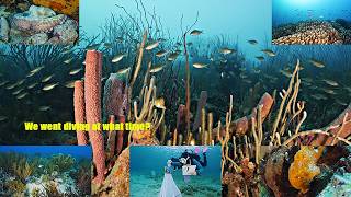 Diving the Edge Of Night Bonaire ep. 60 #4k #uhd #4kunderwater screenshot 5