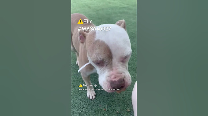 ⚠️Ella #MASA46927