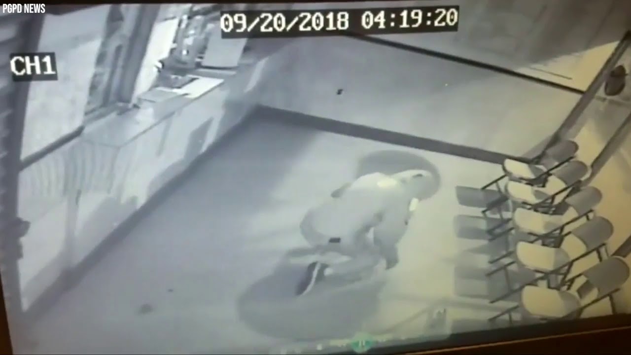 Brick Thrown By Burglar Bounces Back And Smacks Him In The Face YouTube