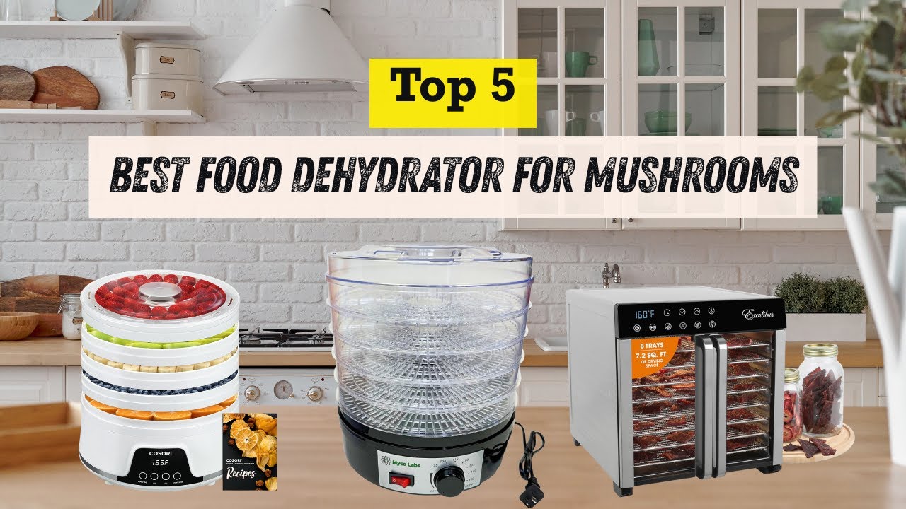 Best Food Dehydrator for Mushrooms | Even Drying & Full Flavor