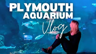 Fired for dancing on TV?! Plymouth Museum & Aquarium Vlog by PR BOUNDLESS 2,979 views 6 months ago 10 minutes, 35 seconds