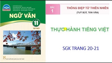 Ngữ văn 11: Bộ chân trời sáng tạo: Bài 1:  Thực hành tiếng Việt: Nghĩa của từ.