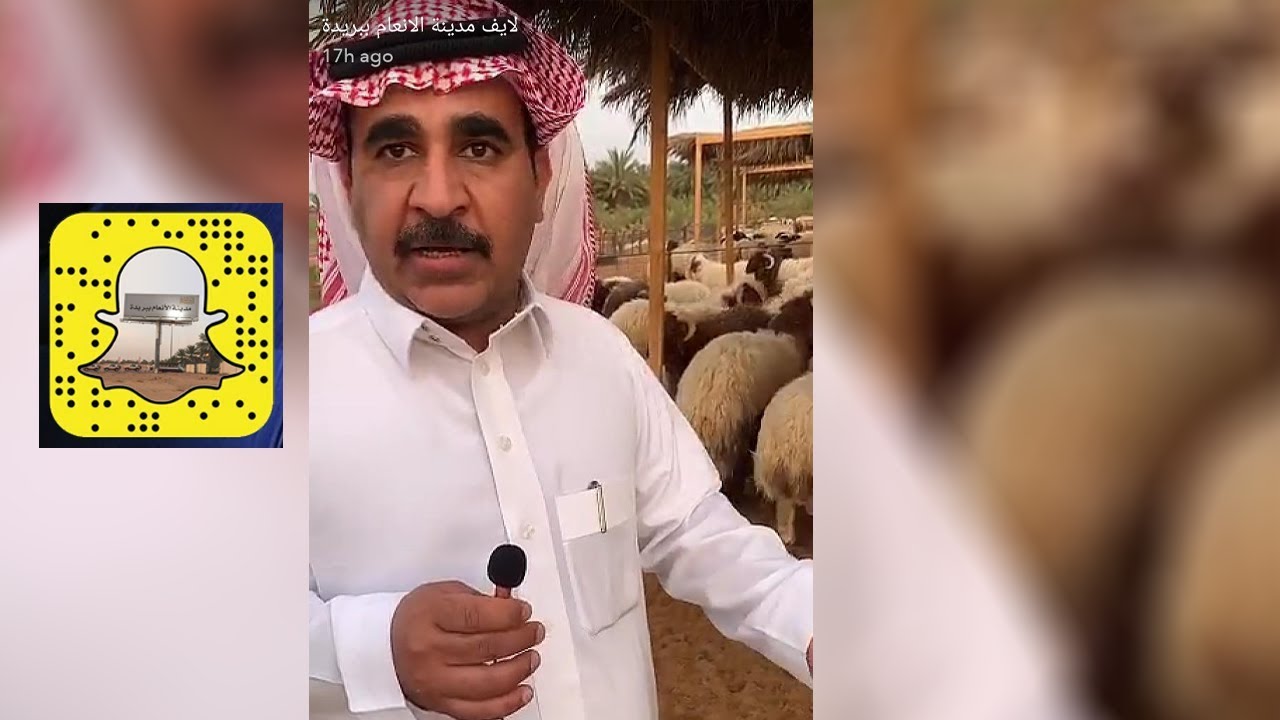 تغطية زيارة مربي النعيمي محمد الصقيري أبو صقر