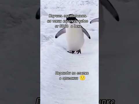 Новый способ заработка на коротких видео