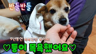 [73-1] ❤둥이 목욕했어요❤