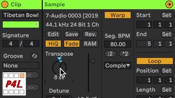 Editing Audio in Ableton Live / Module 02 / Composing & Producing in Ableton Live / For Newcomers