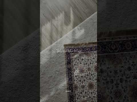 م ا ي ل ف ظ م ن ق و ل إ ل ا ل د ي ه ر ق يب ع ت يد ١٨