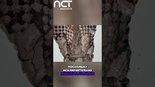 Музей От Влаги Спасен 30 Лет Гарантии Сухости