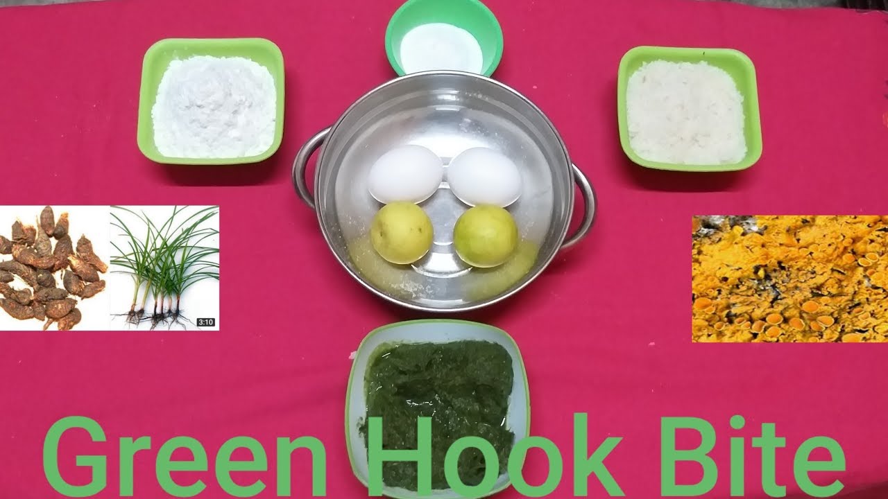 #FishingClub_FishHunting fishing hook Bait Rohu Mirgal Carp 