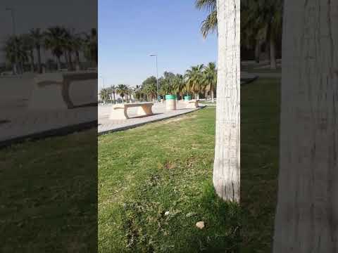 منتزه الحنينية