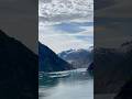 Cruising to the glacier! #alaska #cruise #nature #iceberg #glacier #wild #beautiful #life #travel
