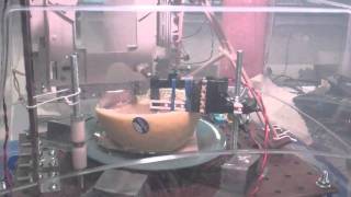 ECE 4760 - Automated Grapefruit Cutter (pt. 2 of 2)