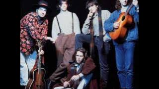 Hothouse Flowers Sweet Marie