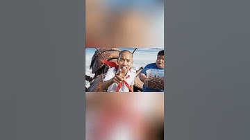 Hùng Trọc và Tí béo thả gián xuống trường học để troll Capybara #capybara #shorts