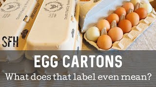 Egg Carton Labels | Decoding the truth behind the labels