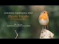 Agnieszka Dąbrowska-Kras – Piccolo Uccello for Eb clarinet