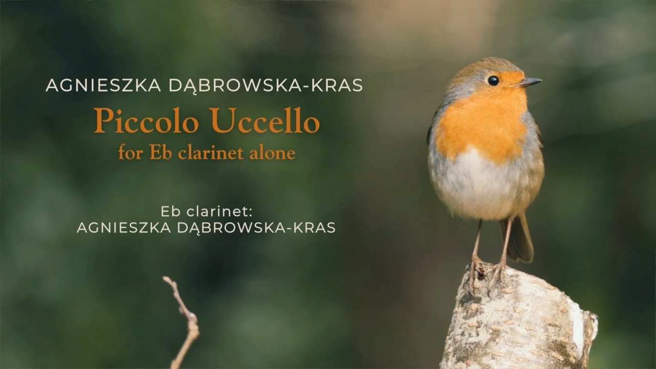 Odtwarzacz wideo YouTube