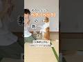 【犬のトリック】ベグ(ベック)の教え方