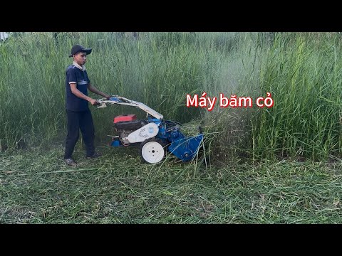 Máy cắt cỏ trục băm 80cm yanmar Nhật Bãi 8,5 HP có đề 0982449121