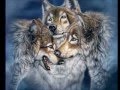 Enya - Crying Wolf - le chant du Loup (El Llanto del Lobo-La Canción del Lobo)