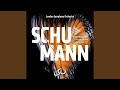 Miniature de la vidéo de la chanson Symphony No .1 In B-Flat Major, Op. 38 "Spring": Ii. Larghetto