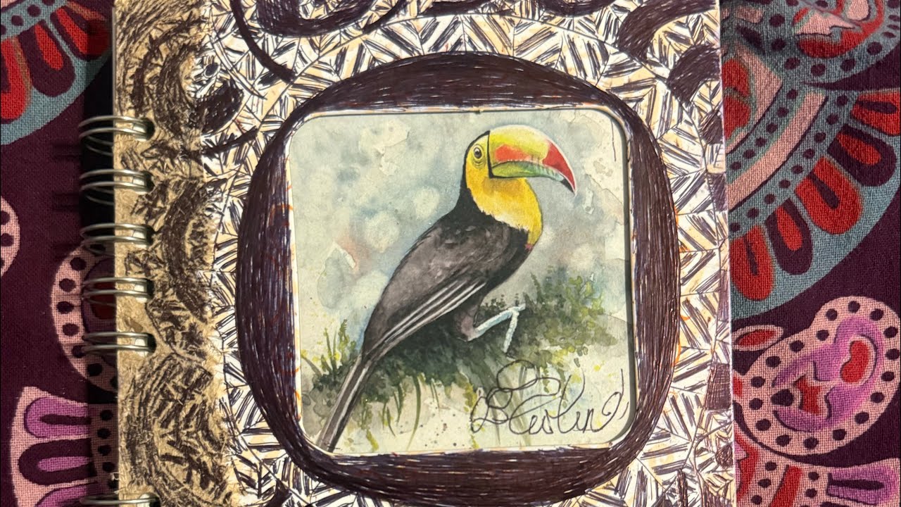 Footage Of What Animals I Captured In Costa Rica #animals #wildlife #country #libertysafe #travel