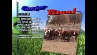 CAMPO VISUAL 27-09--2013