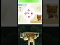 Adorable puppy compilation #shorts #reels