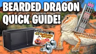 Bearded Dragon Care Guide  Beginners Guide