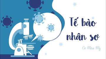 Tế bào nhân sơ - Sinh học 10 - OLM.VN