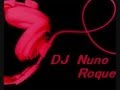 Capture de la vidéo Party Mix - Dj Nuno Roque.wmv