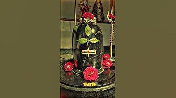 Mahadev Status Video 🍀 Bholenath Status 💫 Mahakal Status New 🌼 #mahadev #shiv #dr_status #shorts
