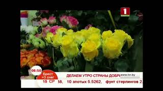 Утренние профессии. Флорист видео кто такой флорист