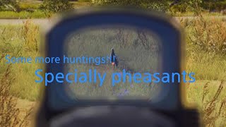 Way of the Hunter (some more huntings specially pheasants)