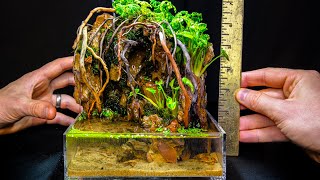 DIY Micro All-In-One Twin Waterfalls Paludarium