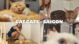 40 CATS \& FREE Coffee?! Best Saigon Cat Cafe! 🇻🇳