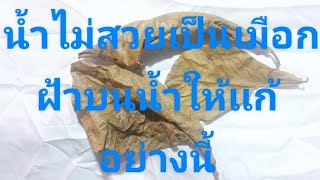 ให้น้ำไม่สวย เป็นเมือก มีฝ้าบนผิวน้ำ    แก้ไขด้วยการทำแบบนี้  ใบแบบไหนก็ใช้ได้