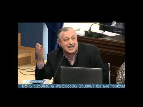 ადამიანის უფლებათა დაცვისა და სამოქალაქო ინტეგრაციის კომიტეტის სხდომა