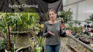 Tasks That You Can Do to Prepare for Spring with Rohr's