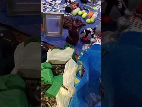 الجديد اليوم في السوق السبت تمارة الشواكش ميدومين