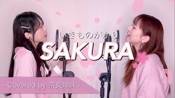 【姉妹でハモる】SAKURA / いきものがかり Covered by奈良姉妹