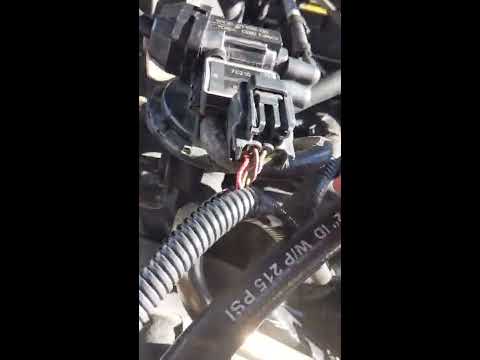 4.0 V6 mustang