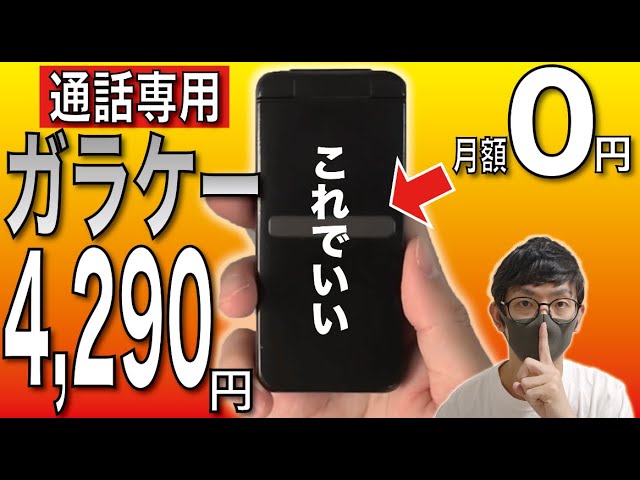 2023年版】ヨドバシカメラ夢のお年玉箱「SIMフリースマホ」を