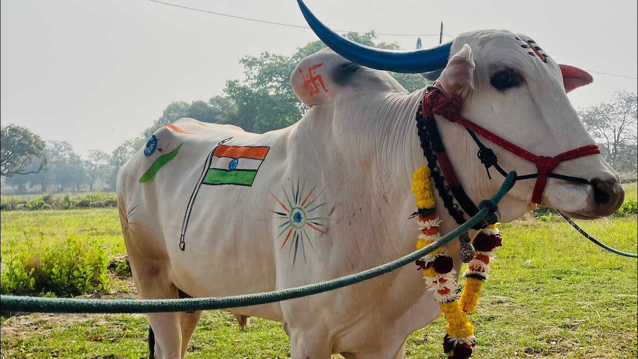 26 जानेवारी 🇮🇳निर्मित॥देवा भाई❤️🇮🇳॥RAJ PATIL VLOG 0912॥vlog no. 14