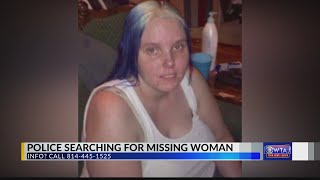 Somerset Police search for missing woman
