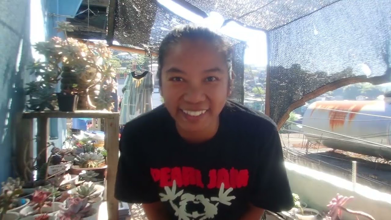 The Reality of Setting Up a Succulent Balcony Garden | February 2026