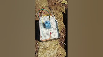 Lampu Otomatis Malam Menyala Siang Padam Dengan Sensor Cahaya LDR